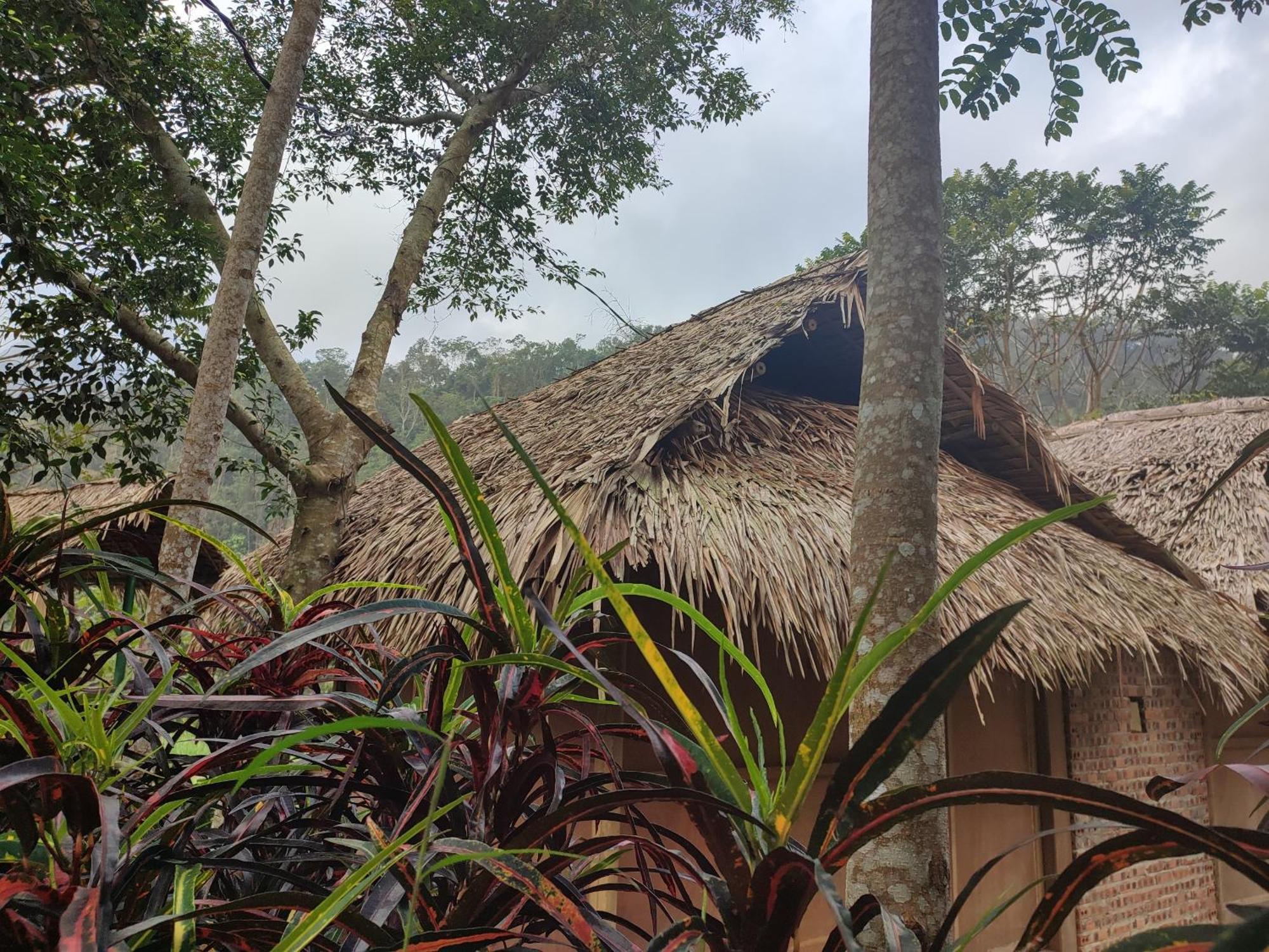 Pu Luong Homestay & Tours Huong Ba Thuoc Exterior foto